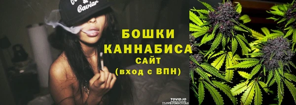 PSILOCYBIN Каменка